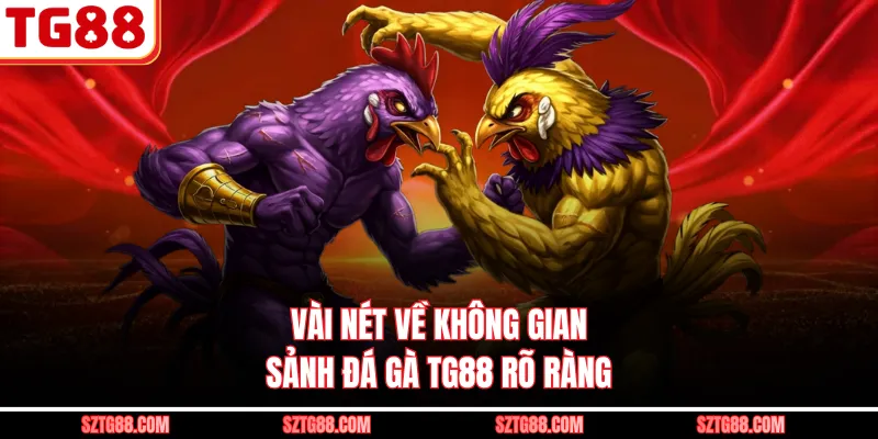 Vài nét về không gian sảnh đá gà TG88 rõ ràng